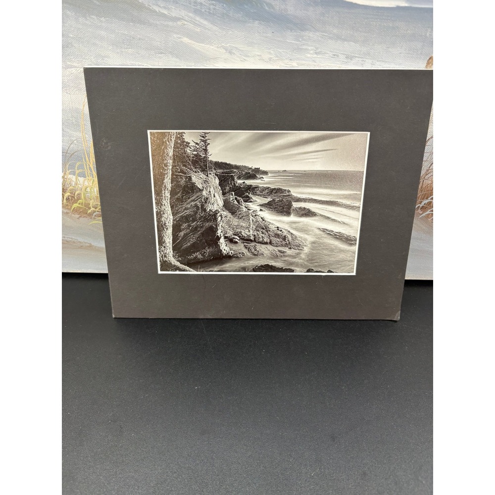 Mark Anderson Archival Black White Photo Florence Oregon Coastal Landscape